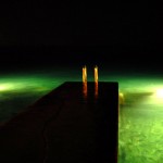 WPP Piran Idea 2010
